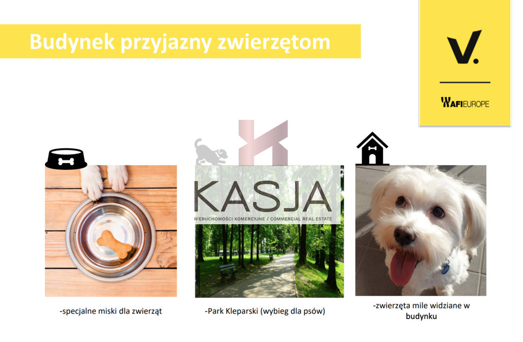 Lokal Wynajem Kraków